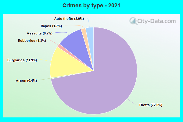 Crimes by type - 2021