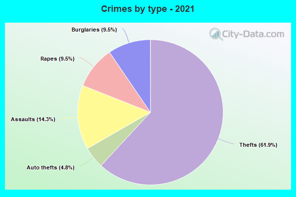 Crimes by type - 2021