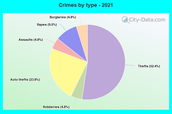 Crimes by type - 2021