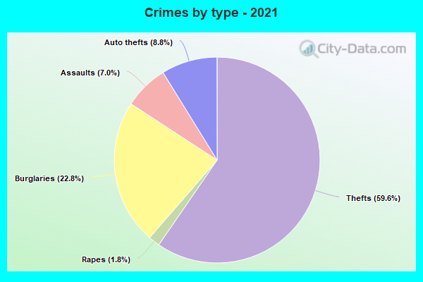 Crimes by type - 2021