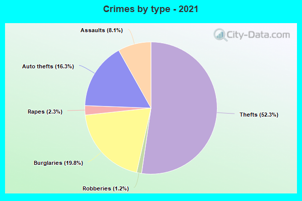 Crimes by type - 2021