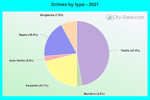 Crimes by type - 2021