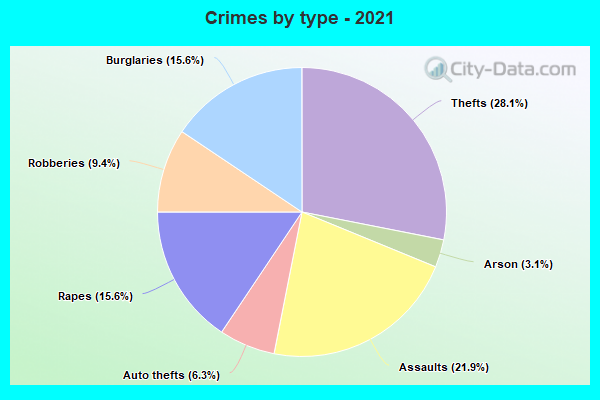 Crimes by type - 2021