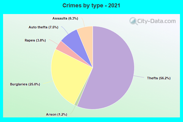 Crimes by type - 2021