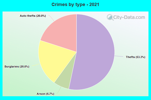 Crimes by type - 2021