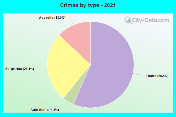 Crimes by type - 2021