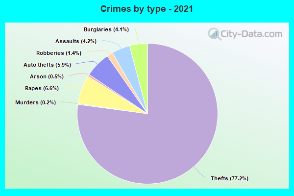 Crimes by type - 2021