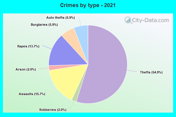 Crimes by type - 2021