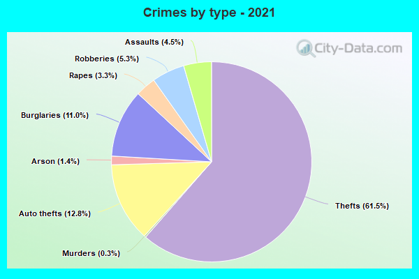 Crimes by type - 2021