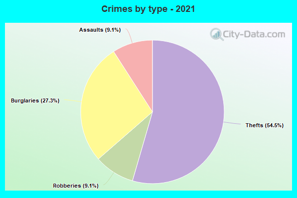 Crimes by type - 2021