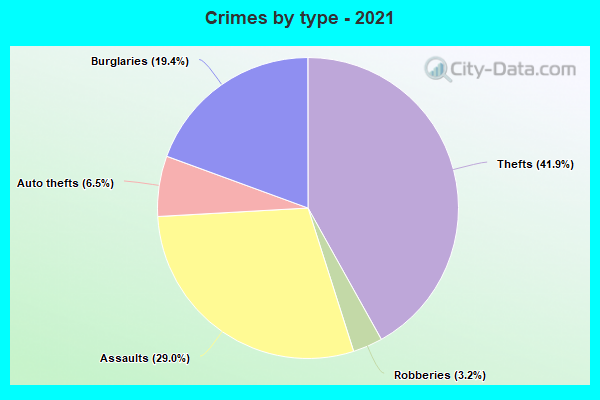 Crimes by type - 2021