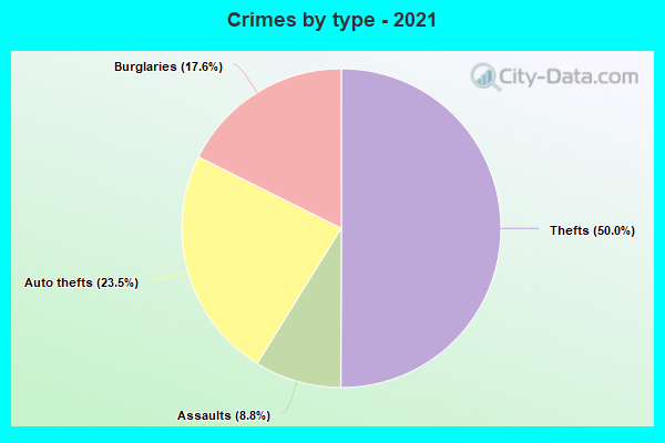 Crimes by type - 2021