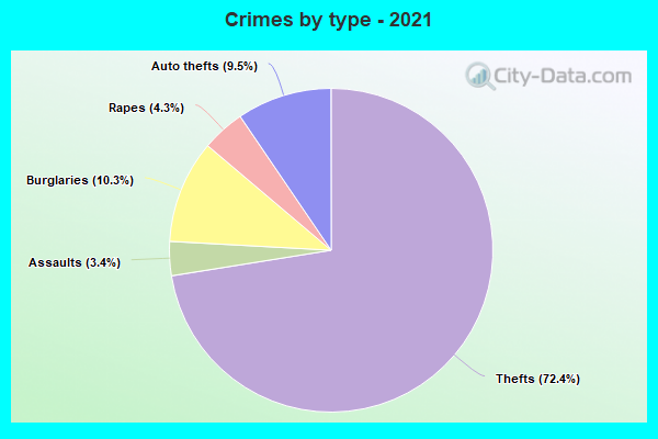 Crimes by type - 2021