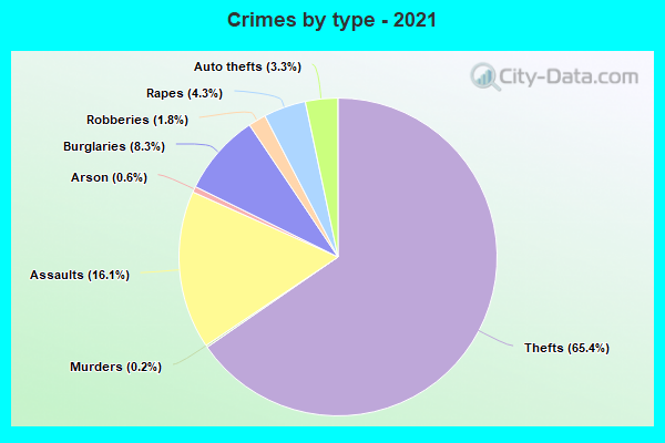 Crimes by type - 2021