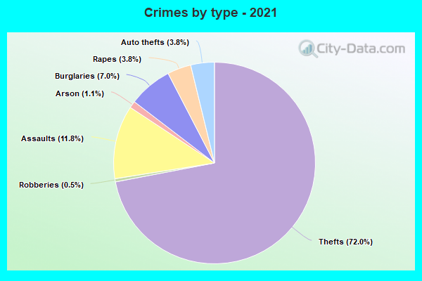 Crimes by type - 2021