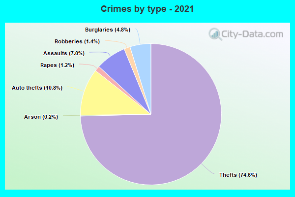 Crimes by type - 2021