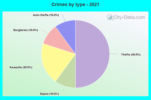 Crimes by type - 2021