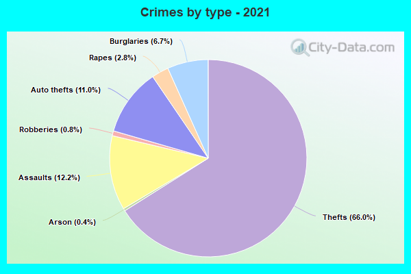 Crimes by type - 2021