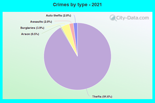 Crimes by type - 2021