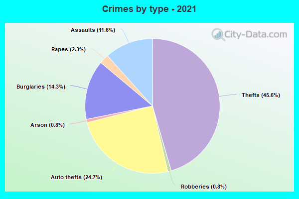 Crimes by type - 2021