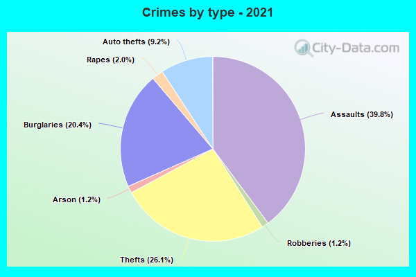 Crimes by type - 2021