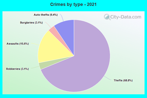 Crimes by type - 2021