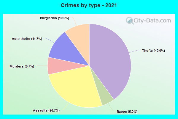 Crimes by type - 2021