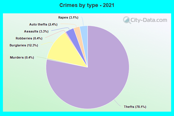 Crimes by type - 2021