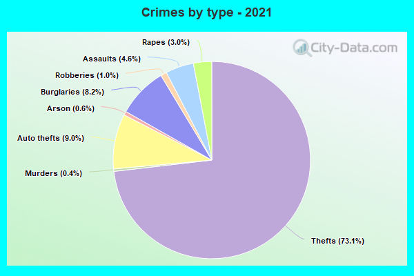 Crimes by type - 2021