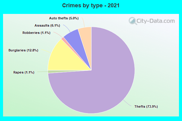 Crimes by type - 2021