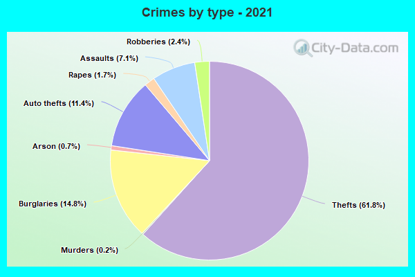 Crimes by type - 2021