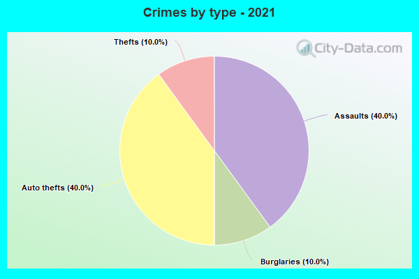 Crimes by type - 2021