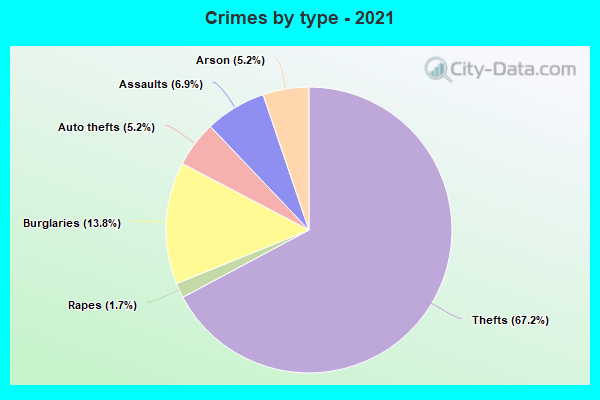 Crimes by type - 2021