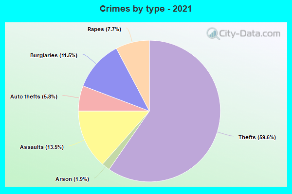 Crimes by type - 2021