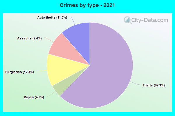 Crimes by type - 2021