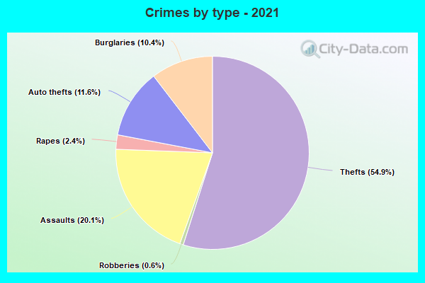 Crimes by type - 2021