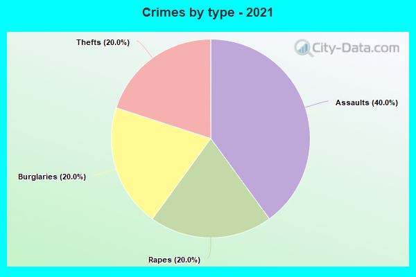 Crimes by type - 2021