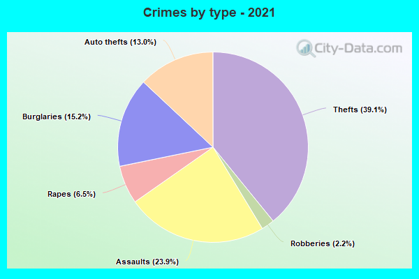 Crimes by type - 2021