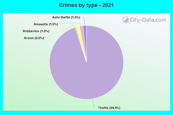 Crimes by type - 2021