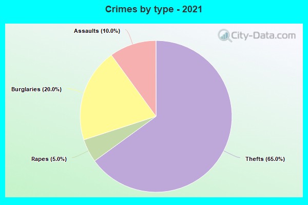 Crimes by type - 2021