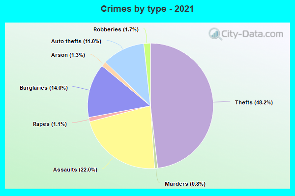 Crimes by type - 2021