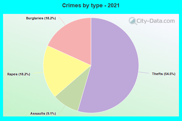 Crimes by type - 2021