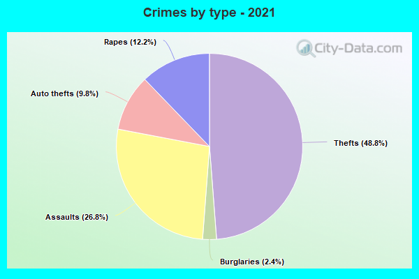 Crimes by type - 2021