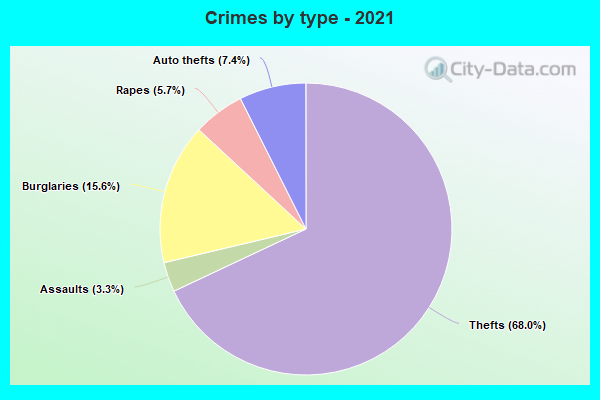 Crimes by type - 2021