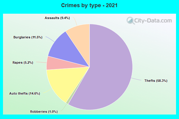 Crimes by type - 2021