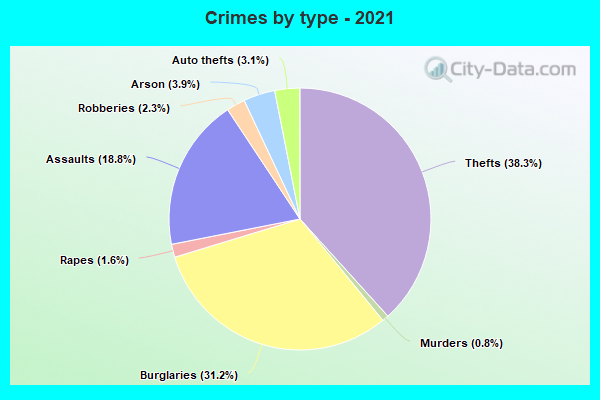 Crimes by type - 2021