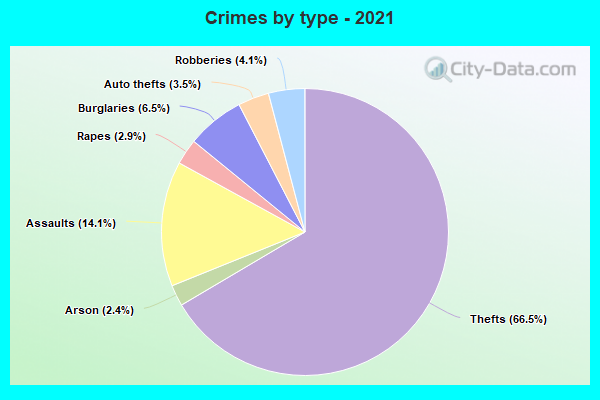 Crimes by type - 2021