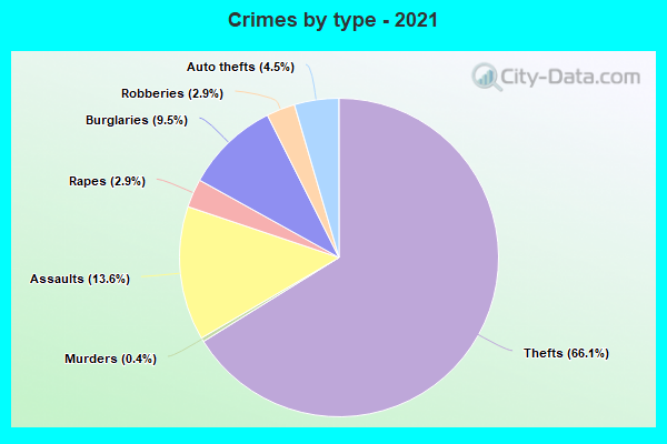 Crimes by type - 2021