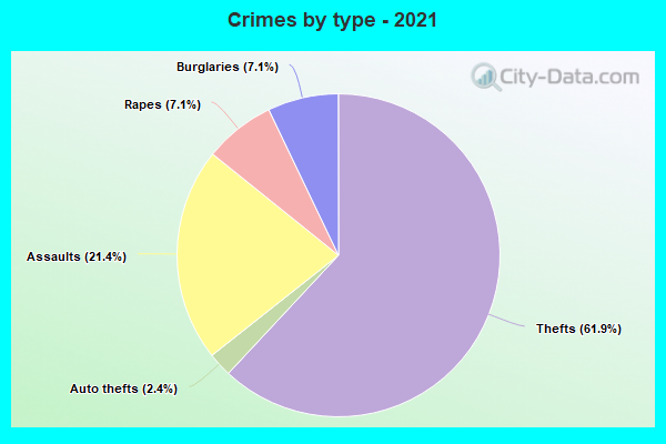 Crimes by type - 2021