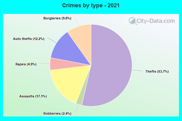 Crimes by type - 2021